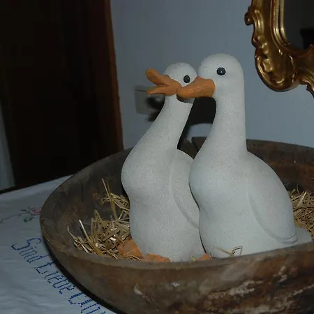 Sportpension Christina By Piaunddirk 3* Fuegen