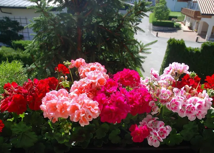 Sportpension Christina By Piaunddirk Gasthof Fügen