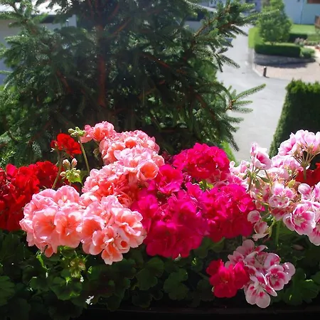 Sportpension Christina By Piaunddirk 招待所 菲根