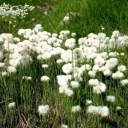 Sportpension Christina By Piaunddirk 3*